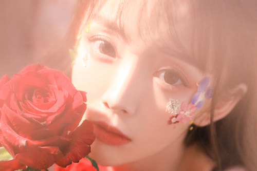 对女孩子说晚安的话 梦里等你哦