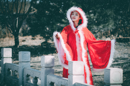 古风唯美的爱情诗句 美人卷珠帘深坐颦蛾眉